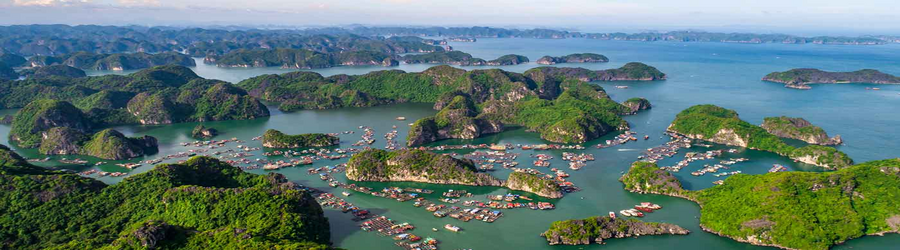 Visit Cat Ba Island